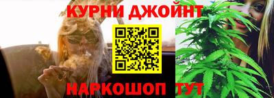 Альфа ПВП Новозыбков
