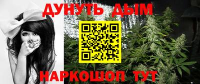 Альфа ПВП Новозыбков