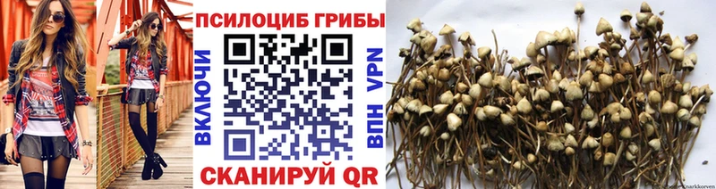 Галлюциногенные грибы GOLDEN TEACHER  наркотики  Нижневартовск 