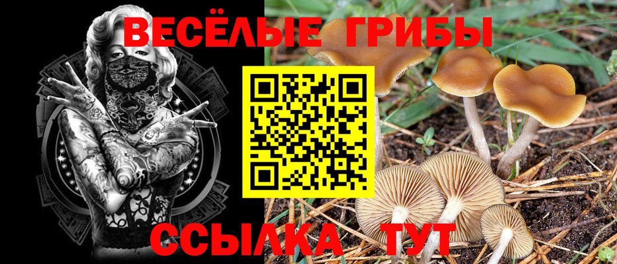 Псилоцибиновые грибы Psilocybine cubensis Нижневартовск